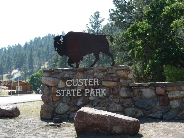 Custer-SP