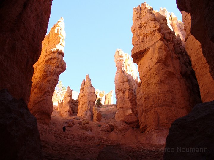 Bryce Canyon NP -_21